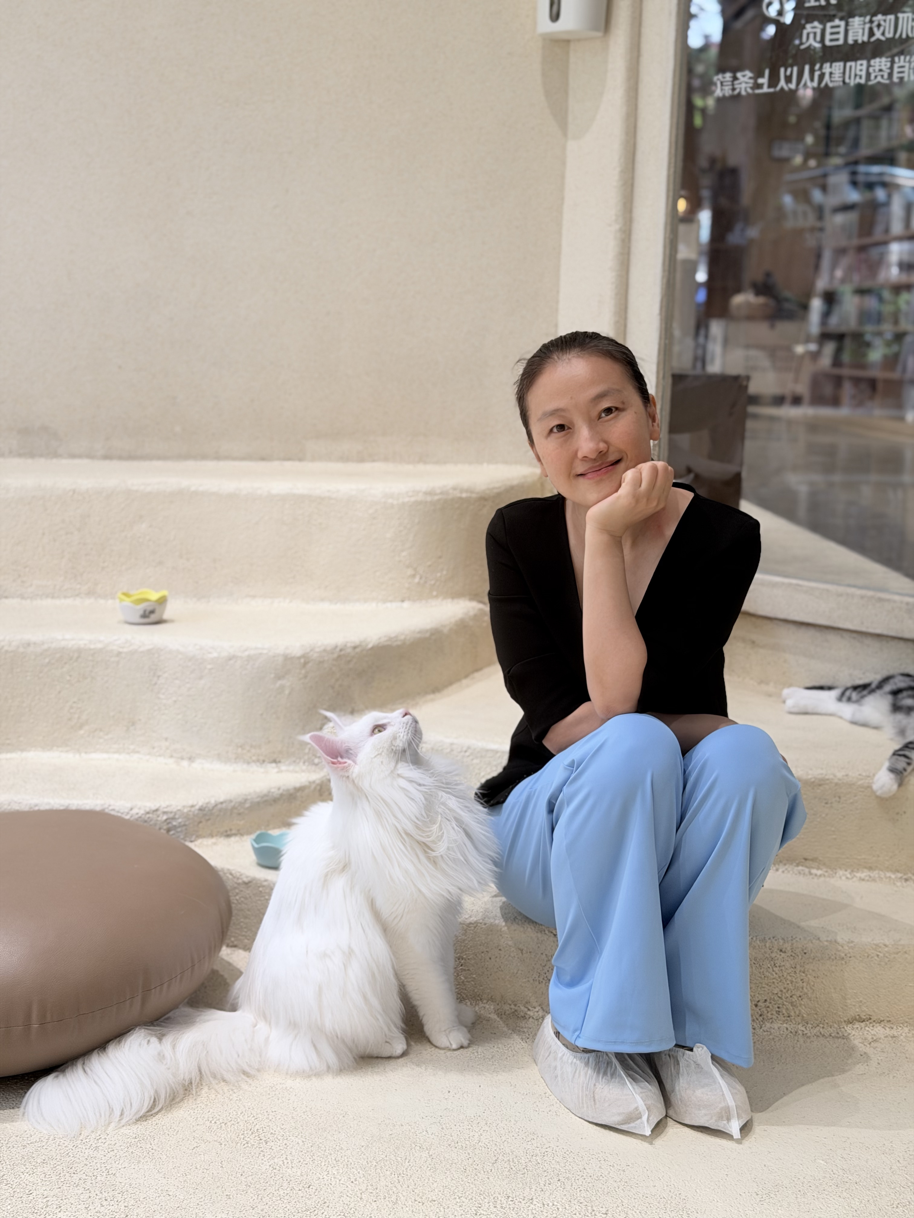 蹲在台阶上和猫对视,笑着 蹲在台阶上和猫对视,笑着